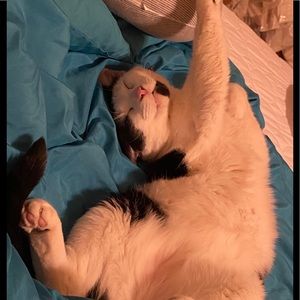 Meet your Posher, Sonya